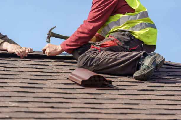 Best Roof Gutter Cleaning  in Van Buren, AR