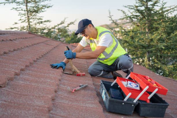 Best New Roof Installation  in Van Buren, AR